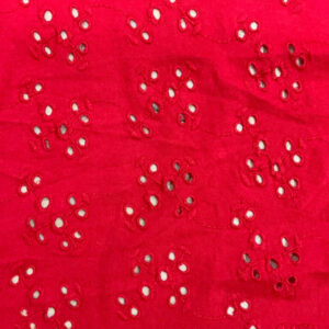 SHIFFLY EMBROIDERY S/J